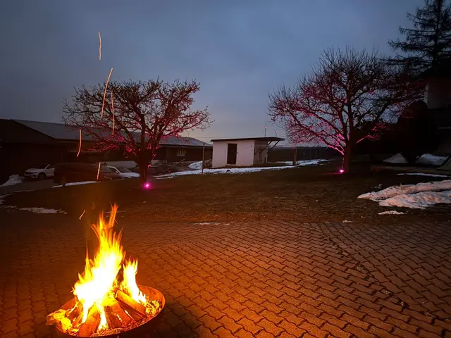 Brennendes Scheitholz in einer Feuerschale am Abend