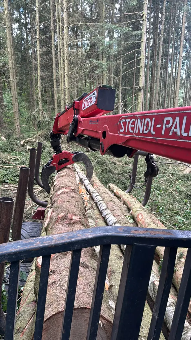 Kran greift Stämme im Wald